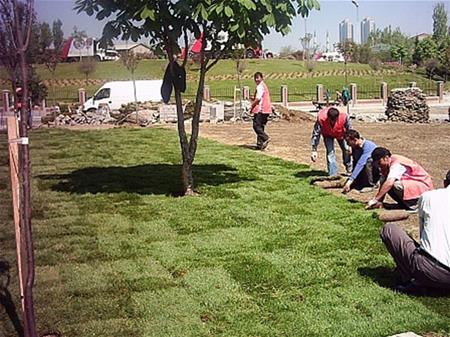 Esenler Belediyesi Yeşil Alan Park Yapım İşi