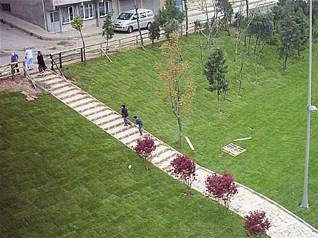 Esenler Belediyesi Yeşil Alan Park Yapım İşi