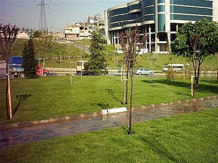 Esenler Belediyesi Yeşil Alan Park Yapım İşi